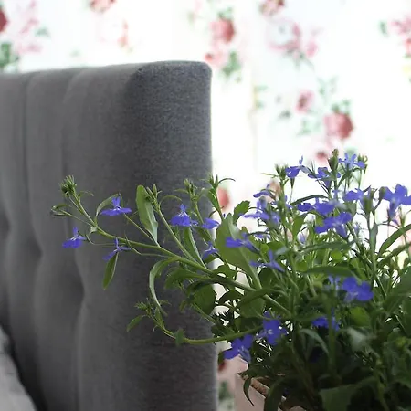 Sisters * סופוט