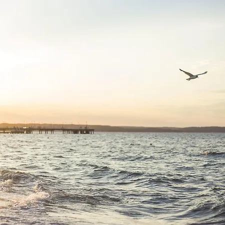 אכסניה Sisters סופוט