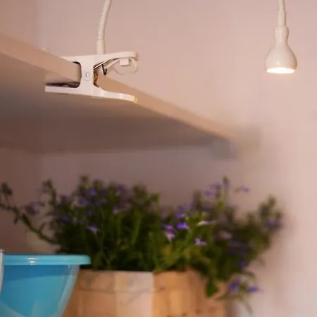 אכסניה Sisters