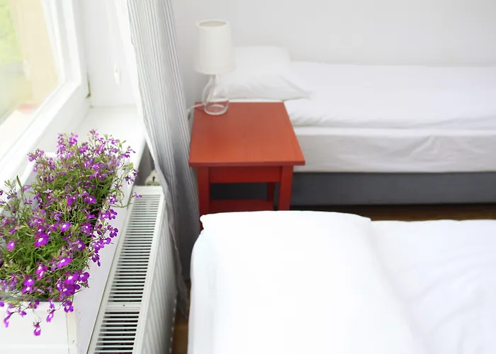 Vandrerhjem Sisters *