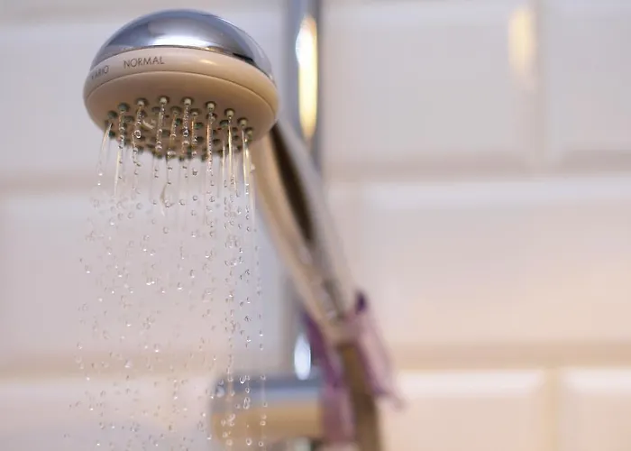 Vandrerhjem Sisters *