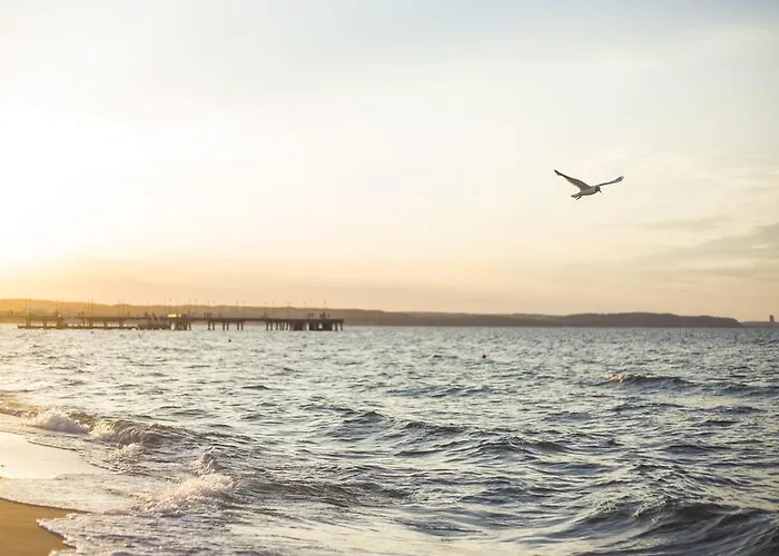 Vandrerhjem Sisters Sopot